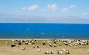 Sarym Lake